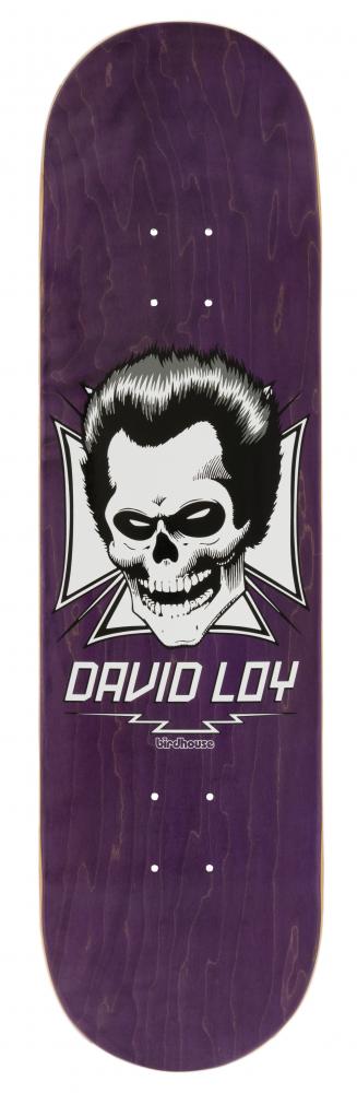 Birdhouse Pro Deck Loy Skull 8.38