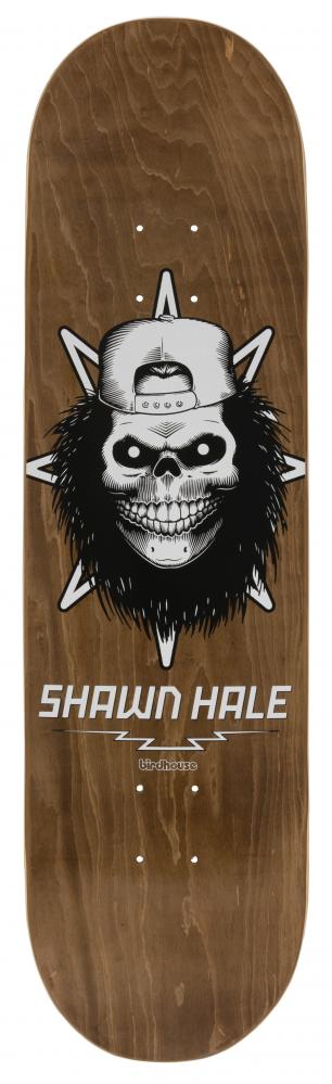 Birdhouse Pro Deck Hale Skull 8.5
