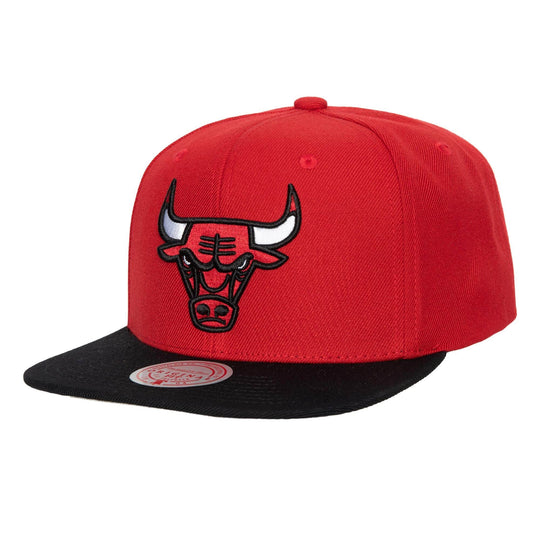 Team 2 Tone 2.0 Snapback Chicago Bulls