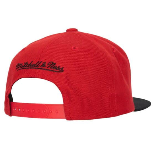 Team 2 Tone 2.0 Snapback Chicago Bulls
