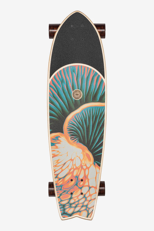 Chromantic - 33" Cruiserboard