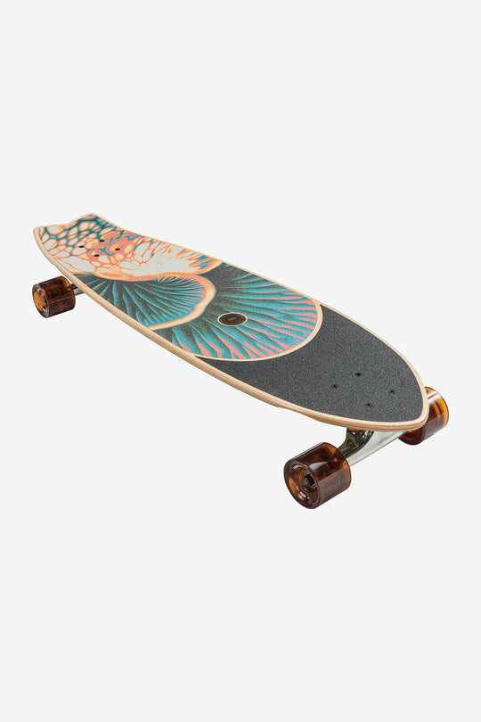 Chromantic - 33" Cruiserboard