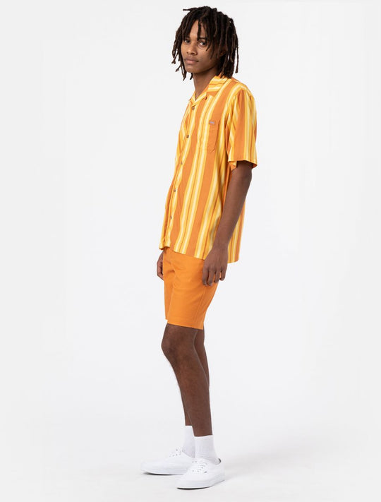 Camicia Lynnwood A Maniche Corte