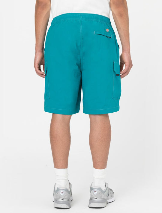 Shorts Cargo Jackson