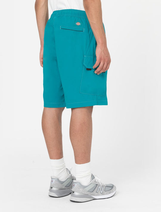 Shorts Cargo Jackson
