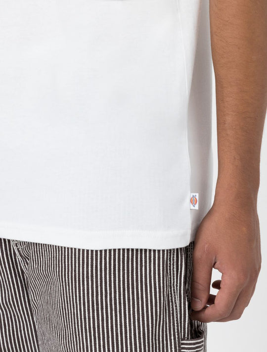 Dickies Skate