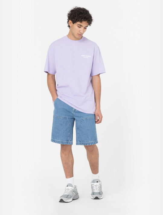 Shorts in Denim Chap