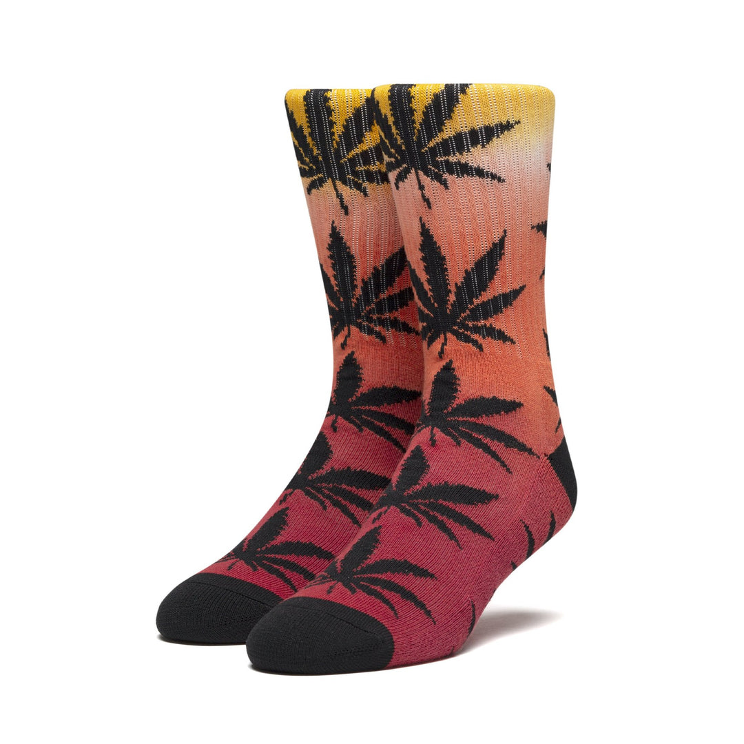 PLANTLIFE GRADIENT DYE SOCK