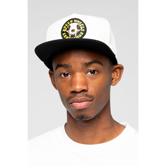 SW Skull Snapback