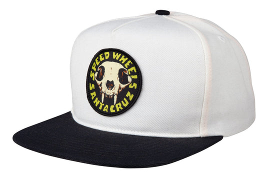 SW Skull Snapback