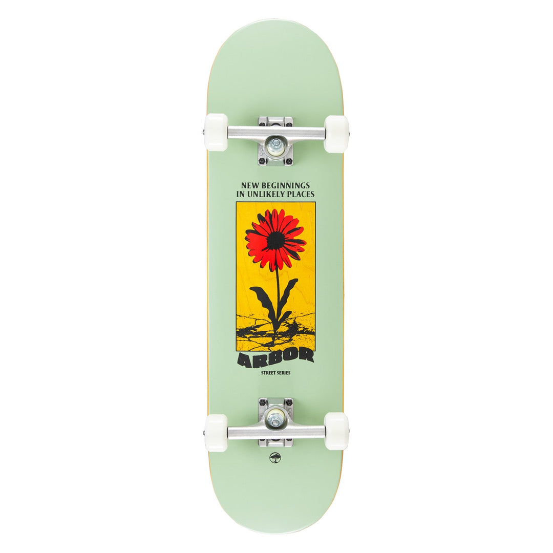 Arbor Daisy 8.25