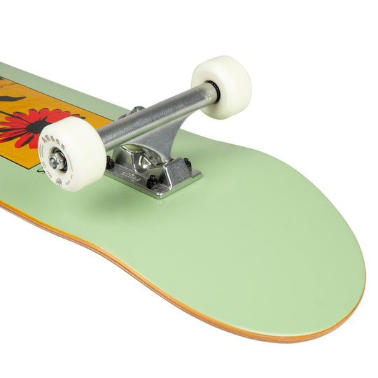 Arbor Daisy 8.25