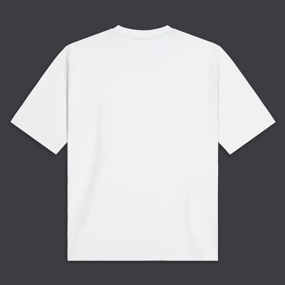 Rainbow DLYNR Logo Over Tee La Gabbia Street Shop